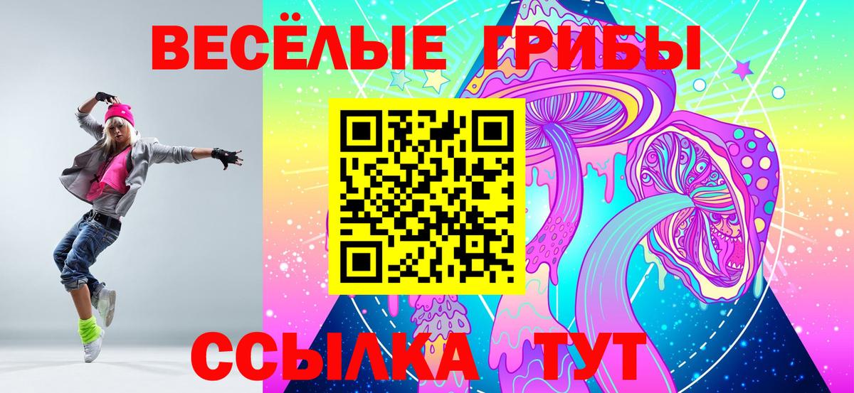 Псилоцибиновые грибы MAGIC MUSHROOMS  Вход с VPN  Прохладный 