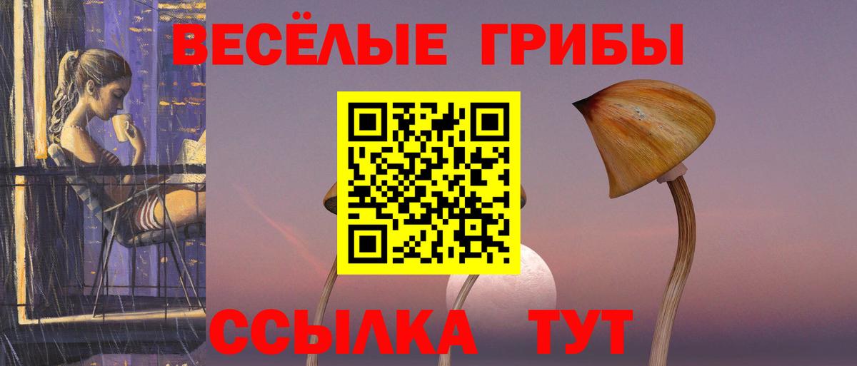Псилоцибиновые грибы прущие грибы Прохладный
